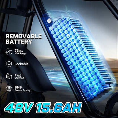 YVY C20 Lite 1000W Fat Tire Electric Bicycle
