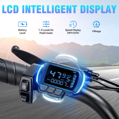 YVY C20 Lite 1000W Fat Tire Electric Bicycle