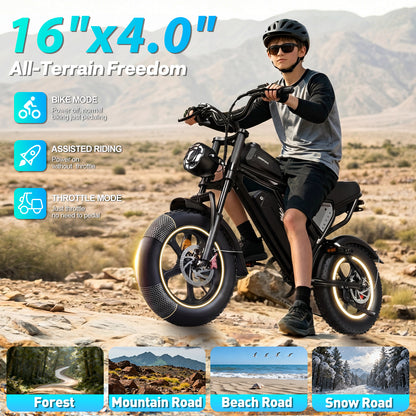 YVY C16 1500W Fat Tire Electric Bicycle